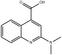 2-(DiMethylaMino)quinoline-4-carboxylic acid Structure