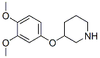 3-(3,4-DIMETHOXYPHENOXY)-PIPERIDINE Structure
