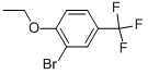 2-Bromo-1-ethoxy-4-trifluoromethyl-benzene Structure