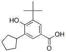 3-시클로펜틸-5-tert-부틸-4-히드록시벤조산 구조식 이미지