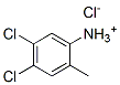 4,5-dichloro-2-methylanilinium chloride Structure