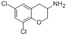 2H-1-BENZOPYRAN-3-AMINE,6,8-DICHLORO-3,4-DIHYDRO- 구조식 이미지