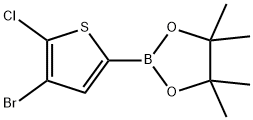 2-(4-Bromo-5-chlorothiophen-2-yl)-4,4,5,5-tetramethyl-1,3,2-dioxaborolane 구조식 이미지