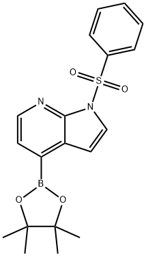 1H-Pyrrolo[2,3-b]pyridine, 1-(phenylsulfonyl)-4-(4,4,5,5-tetramethyl-1,3,2-dioxaborolan-2-yl)- Structure