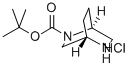 (1S,4S)-2-BOC-2,5-DIAZABICYCLO[2.2.2]OCTANE HYDROCHLORIDE Structure