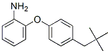 2-(4-neopentylphenoxy)aniline Structure