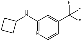 Cyclobutyl-(4-trifluoromethyl-pyridin-2-yl)-amine
 Structure