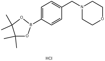 4-(4-MORPHOLINOMETHYL)-PHENYLBORONIC ACID PINACOL ESTER HYDROCHLORIDE 구조식 이미지