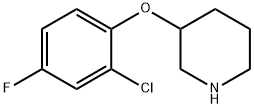 3-(2-클로로-4-FLUOROPHENOXY)피페리딘 구조식 이미지