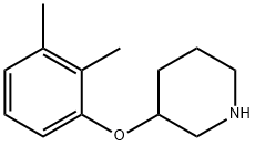 3-(2,3-DIMETHYLPHENOXY)PIPERIDINE Structure