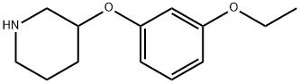 3-(3-ETHOXYPHENOXY)PIPERIDINE Structure