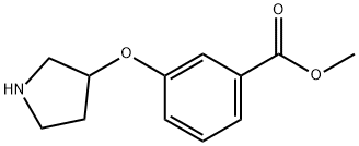 메틸3-(3-PYRROLIDINYLOXY)벤조에이트 구조식 이미지