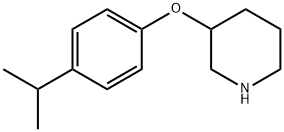 3-(4-ISOPROPYLPHENOXY)PIPERIDINE Structure