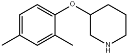 3-(2,4-DIMETHYLPHENOXY)PIPERIDINE Structure