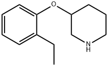 2-ETHYLPHENYL 3-PIPERIDINYL ETHER Structure