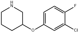 3-(3-클로로-4-FLUOROPHENOXY)피페리딘 구조식 이미지
