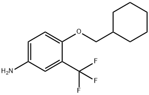 BenzenaMine, 4-(cyclohexylMethoxy)-3-(trifluoroMethyl)- Structure