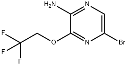 5-BroMo-3-(2,2,2-trifluoroethoxy)pyrazin-2-aMine Structure