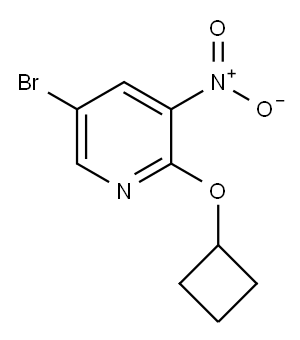 5-Bromo-2-cyclobutoxy-3-nitro-pyridine
 Structure