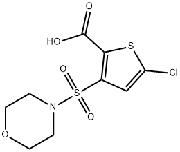 5-chloro-3-(morpholin-4-ylsulfonyl)thiophene-2-carboxylic acid 구조식 이미지