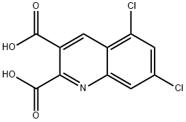 5,7-DICHLOROQUINOLINE-2,3-DICARBOXYLIC ACID Structure