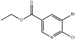 3-피리딘카르복실산,5-broMo-6-클로로-,에틸에스테르 구조식 이미지