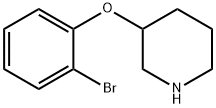 3-(2-Bromo-phenoxy)-piperidine Structure
