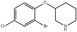 3-(2-Bromo-4-chloro-phenoxy)-piperidine Structure