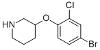 3-(4-Bromo-2-chloro-phenoxy)-piperidine Structure