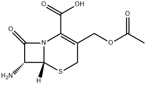 957-68-6 7-Aminocephalosporanic acid