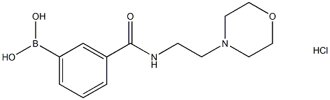 3-(2-Morpholinoethylcarbamoyl)phenylboronic acid, HCl 구조식 이미지