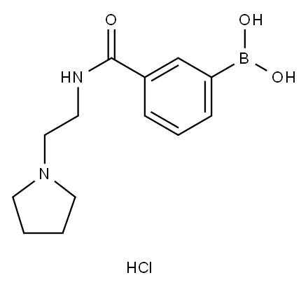 3-(2-(Pyrrolidin-1-yl)ethylcarbamoyl)phenylboronic acid, HCl Structure
