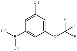 3-Hydroxy-5-(trifluoromethoxy)phenylboronic acid Structure