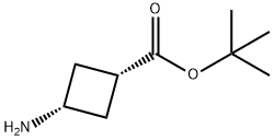 cis-3-AMinocyclobutanecarboxylic acid tert-butyl ester Structure