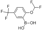 2-difluoromethoxy-5-trifluoromethyl-benzeneboronic acid 구조식 이미지