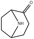 8-azabicyclo[3.2.1]octan-2-one hydrochloride 구조식 이미지