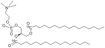 포스파티딜콜린,L-ALPHA-DIPALMITOYL,[DIPALMITOYL-1-14C] 구조식 이미지