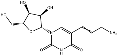 5-(3-aMino-1-propen-1-yl)-Uridine Structure