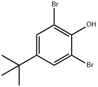 2,6-DIBROMO-4-TERT-BUTYL-PHENOL Structure