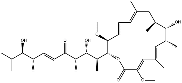 98813-13-9 bafilomycin D