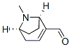 8-Azabicyclo[3.2.1]oct-2-ene-2-carboxaldehyde, 8-methyl-, (1R,5S)- (9CI) Structure
