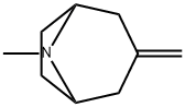 8-Methyl-3-methylene-8-aza-bicyclo[3.2.1]octane Structure