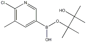 2-Хлор-3-метилпиридин-5-бороновой кислоты пинакон структурированное изображение