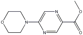 메틸5-(4-모르폴리닐)-2-피라진카복실레이트 구조식 이미지