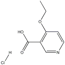 4-Ethoxypyridine-3-carboxylic acid hydrochloride Structure