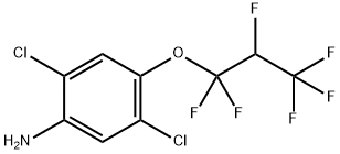 103015-84-5 2,5-Dichloro-4-(1,1,2,3,3,3-hexafluoropropoxy)benzenamine