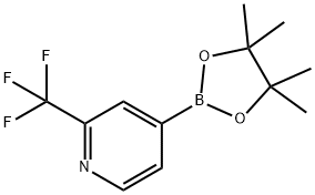 2-(TRIFLUOROMETHYL)PYRIDINE-4-BORONIC ACID PINACOL ESTER 구조식 이미지