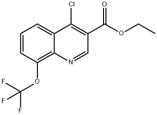 4-클로로-8-(트리플루오로메톡시)퀴놀린-3-카르복실산에틸에스테르 구조식 이미지