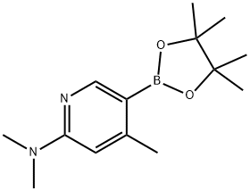 6-디메틸아미노-4-메틸피리딘-3-보론산피나콜에스테르 구조식 이미지