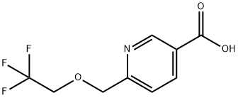 1072855-75-4 6-[(2,2,2-Trifluoroethoxy)methyl]nicotinic acid